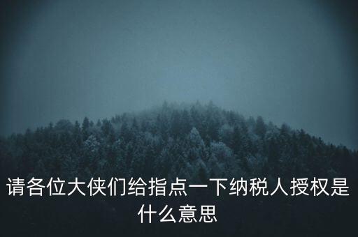 納稅人獲得感是什么意思，請各位大俠們給指點(diǎn)一下納稅人授權(quán)是什么意思