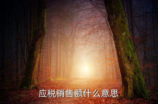 稅務(wù)銷售額是什么意思，年應(yīng)稅銷售額是什么意思