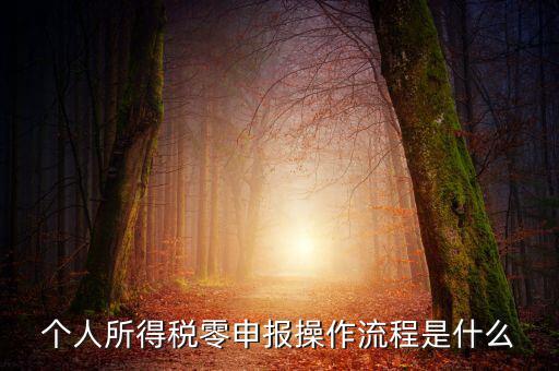 扣繳稅款登記主要流程是什么，納稅流程是怎樣的