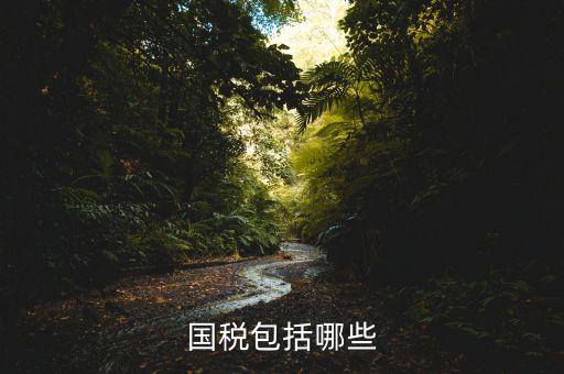 國(guó)稅局道德講堂學(xué)什么，國(guó)稅包括哪些