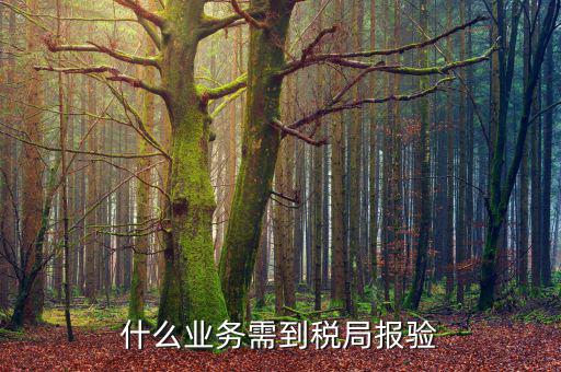 外出經(jīng)營報(bào)驗(yàn)是什么，什么業(yè)務(wù)需到稅局報(bào)驗(yàn)