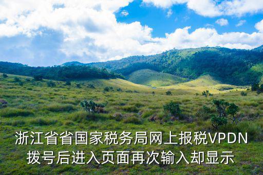 浙江省省國家稅務(wù)局網(wǎng)上報(bào)稅VPDN撥號(hào)后進(jìn)入頁面再次輸入?yún)s顯示