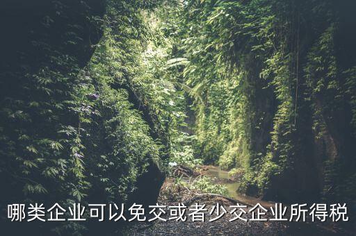 什么情況下企業(yè)可以減免稅收，哪類企業(yè)可以免交或者少交企業(yè)所得稅