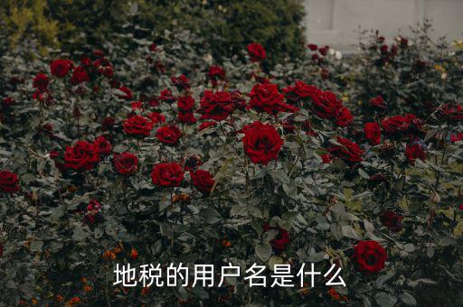 地稅登錄子賬號是什么，地稅的用戶名是什么