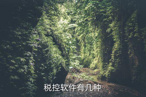 控稅軟件針對什么，稅控軟件有幾種