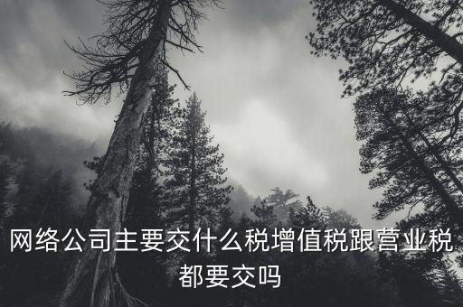 互聯(lián)網(wǎng)企業(yè)交什么稅，互聯(lián)網(wǎng)公司在稅收上有何政策