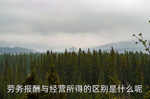 什么是經營所得，個體工商戶的生產經營所得是指什么