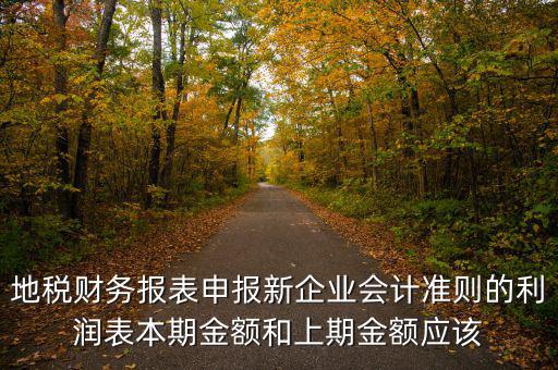 地稅利潤表的上期金額指什么，新會(huì)計(jì)制度下利潤表中本期金額和上期金額是什么意思