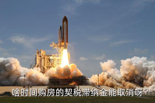 契稅什么時候扣掉，國稅和地稅繳稅期限是什么時候