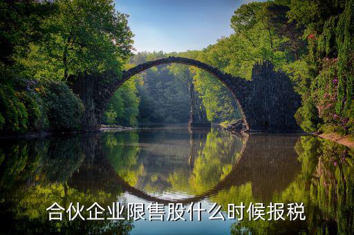 限售股轉(zhuǎn)讓所得什么時(shí)候報(bào)，合伙企業(yè)限售股什么時(shí)候報(bào)稅