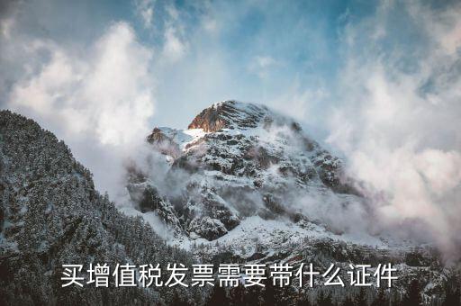 稅務發(fā)票需要什么資料，開稅票需要什么資料