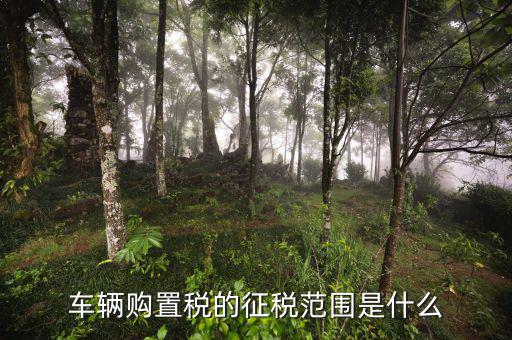 車(chē)輛購(gòu)置稅征收范圍由什么決定，車(chē)輛購(gòu)置稅的征稅范圍是什么