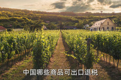什么貨物出口可以退稅，中國哪些商品可出口退稅