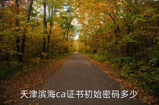 天津ca密碼是什么意思，天津社?？ǔ跏济艽a是多少啊 我是中國銀行的