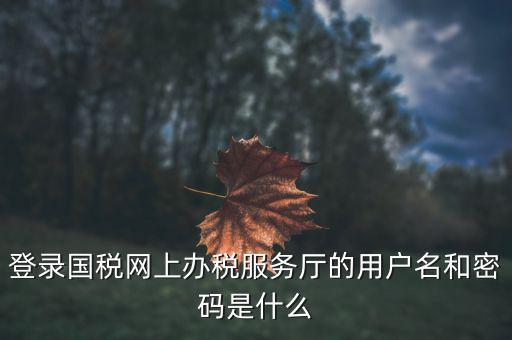 報稅企業(yè)用戶名是什么，登錄國稅網(wǎng)上辦稅服務(wù)廳的用戶名和密碼是什么