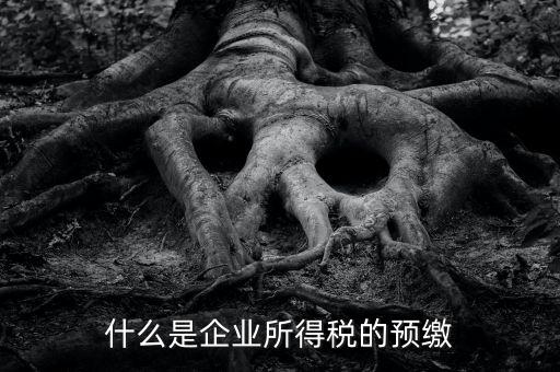 什么是預(yù)交企業(yè)所得稅，什么是企業(yè)所得稅的預(yù)繳