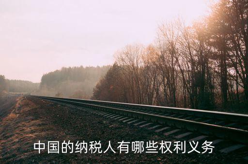 納稅服務(wù)什么權(quán)，中國的納稅人有哪些權(quán)利義務(wù)
