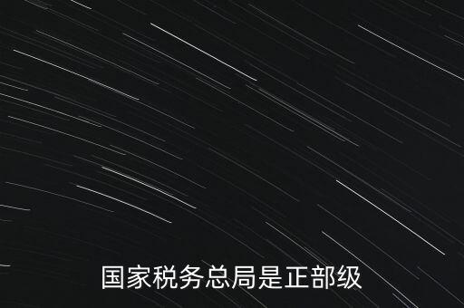 稅務(wù)大廳主任什么級別，金河鎮(zhèn)稅務(wù)務(wù)局局長是什么級別
