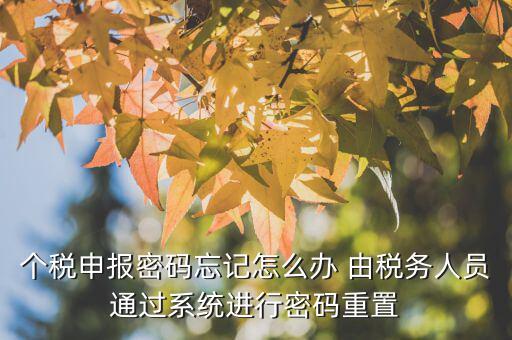 地稅重置密碼需要什么，重置個稅申報(bào)密碼需要什么