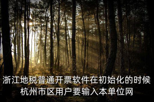 浙江網(wǎng)上稅務(wù)局的注冊碼是什么，浙江地稅因特網(wǎng)辦稅服務(wù)系統(tǒng)注冊碼過期