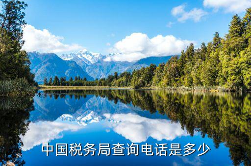 福建國稅查找打什么電話，國稅電話