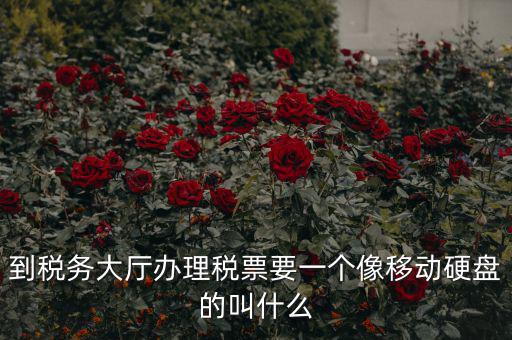 稅務(wù)磁盤什么樣，我要正確的答案