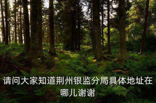 荊州稅務(wù)局在什么地方，請問大家知道荊州銀監(jiān)分局具體地址在哪兒謝謝