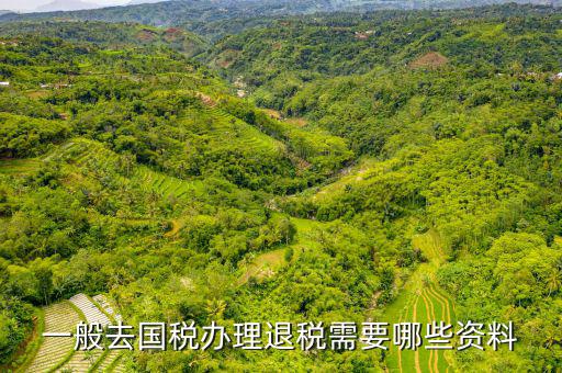 稅務(wù)局退稅要什么手續(xù)，一般去國稅辦理退稅需要哪些資料