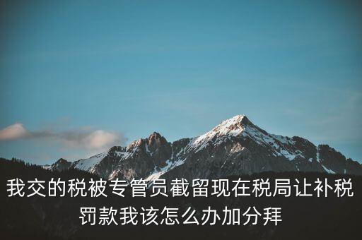 稅務(wù)人員截留稅款受什么處分，我交的稅被專管員截留現(xiàn)在稅局讓補稅罰款我該怎么辦加分拜