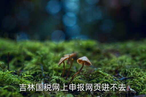 吉林省國稅上不去為什么，吉林省國家稅務(wù)局晚上申報(bào) 無法安全登陸