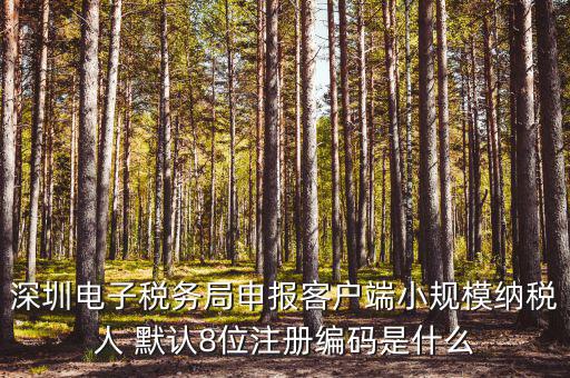 深圳納稅人編號是什么，什么是深圳市國稅百元開頭發(fā)票的納稅人識別號