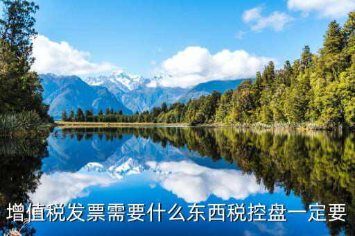 發(fā)票打印需要什么盤，調(diào)試打印增值稅發(fā)票的打印機要插入金稅盤嗎