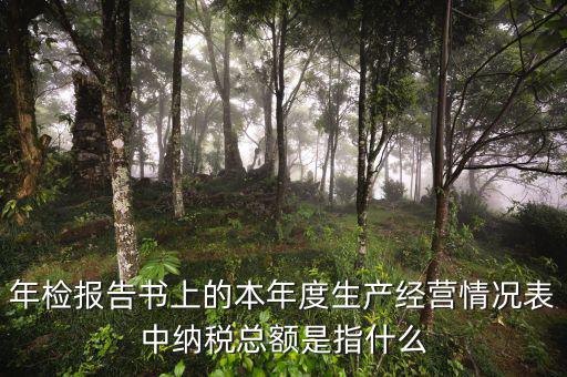 年報(bào)的納稅額看什么表，年檢報(bào)告書上的本年度生產(chǎn)經(jīng)營(yíng)情況表中納稅總額是指什么