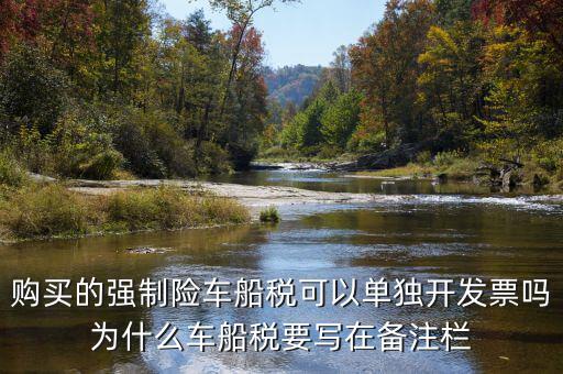 保險(xiǎn)車船稅為什么在發(fā)票備注欄，購買的強(qiáng)制險(xiǎn)車船稅可以單獨(dú)開發(fā)票嗎為什么車船稅要寫在備注欄