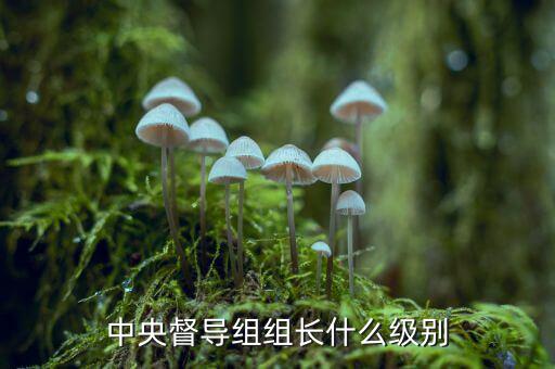 稅務(wù)督導(dǎo)組組長(zhǎng)什么級(jí)別，縣委縣政府督察組組長(zhǎng)行政級(jí)別具體工作是什么