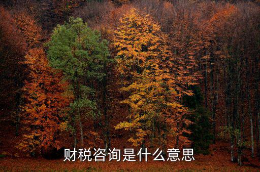 深圳稅務(wù)納稅咨詢平臺(tái)是什么意思，財(cái)稅咨詢是什么意思
