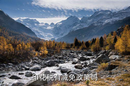 借款印花稅從什么時候免稅，印花稅減免稅優(yōu)惠政策2021