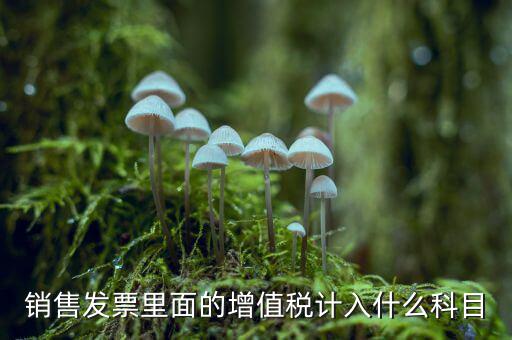 發(fā)票稅金入什么科目，開票稅金計入什么科目