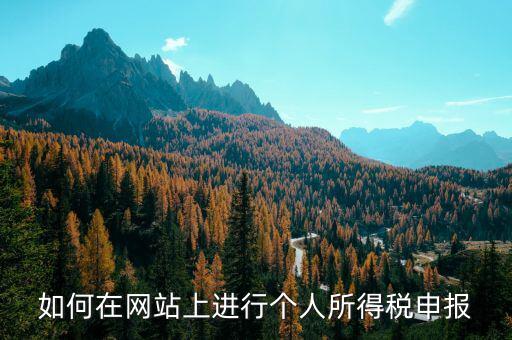 個(gè)人所得稅在什么平臺(tái)申報(bào)，請(qǐng)問(wèn)現(xiàn)在個(gè)人所得稅在哪里申報(bào)