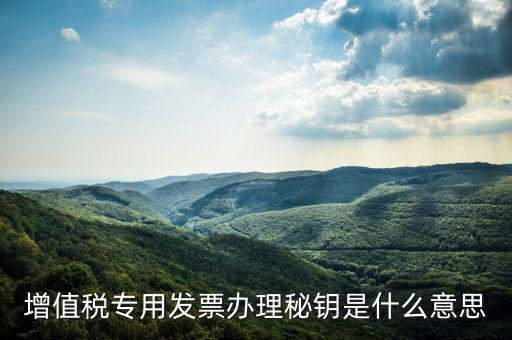 國(guó)稅密鑰是什么，增值稅專用發(fā)票辦理秘鑰是什么意思