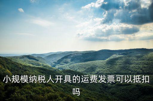 什么樣的運(yùn)費(fèi)票可以抵，運(yùn)輸費(fèi)增值稅都能用什么票抵扣