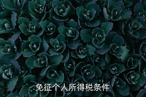 四業(yè)免征個人所得稅有什么要求，個人所得稅減免稅有哪些要求
