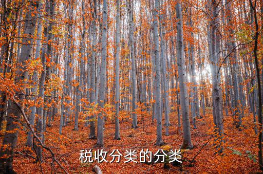 代售點(diǎn)屬于什么稅務(wù)類型，電信代理費(fèi)屬于稅收分類編碼