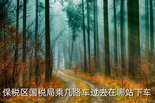 深圳市保稅區(qū)地稅局做什么車，深大北門(mén)到深圳市保稅區(qū)地稅局怎么走