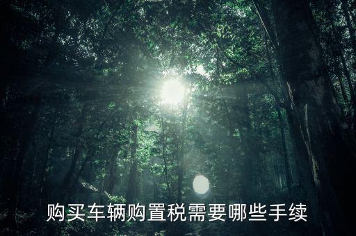 購(gòu)買(mǎi)車輛購(gòu)置稅需要哪些手續(xù)