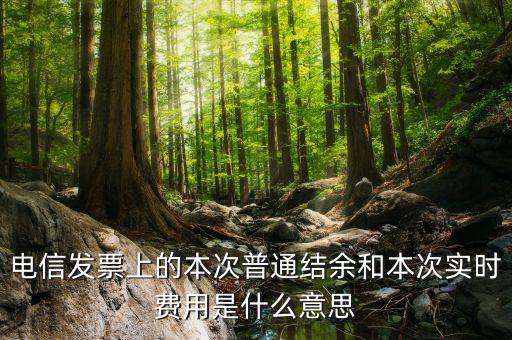結(jié)余發(fā)票是什么，電信交話費(fèi)發(fā)票上本次普通結(jié)余是什么意思啊 實(shí)時費(fèi)用又是什么意思啊