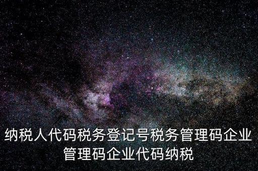 納稅人管理代碼是什么，納稅人代碼稅務(wù)登記號稅務(wù)管理碼企業(yè)管理碼企業(yè)代碼納稅