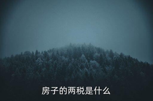 兩稅清查是指什么，房子的兩稅是什么