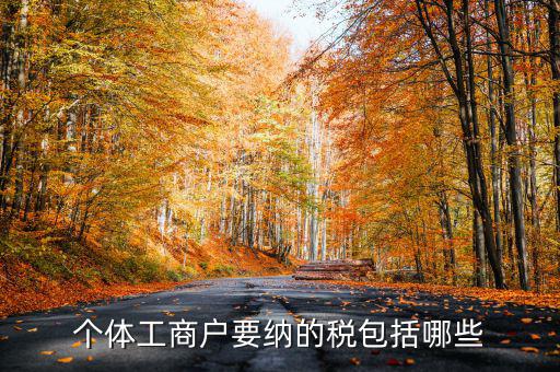 個(gè)體戶需要交什么稅，個(gè)體工商戶需要鈉哪些稅呢