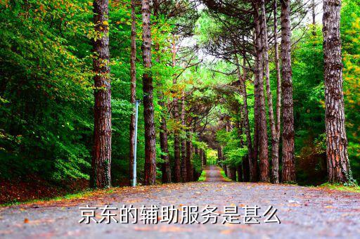 物流輔助屬于什么服務(wù)，貨物配服務(wù)屬于哪個(gè)行業(yè)